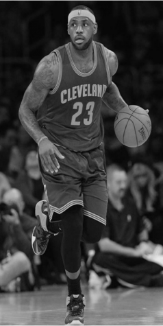 NBA Season Projections