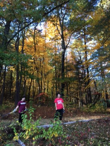Ecocide in Groton’s Backyard