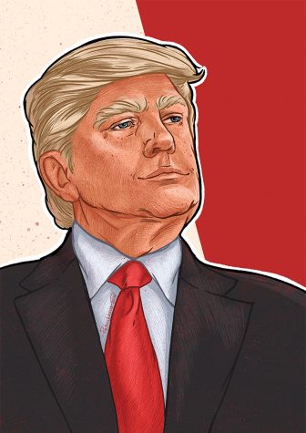 Trump’s Shot at Reelection