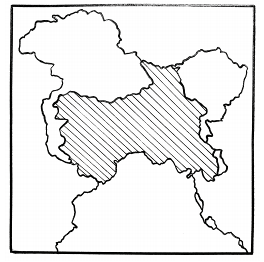 A map of Kashmir. The
once-autonomous region is surrounded by larger powers, namely India, Pakistan and China.