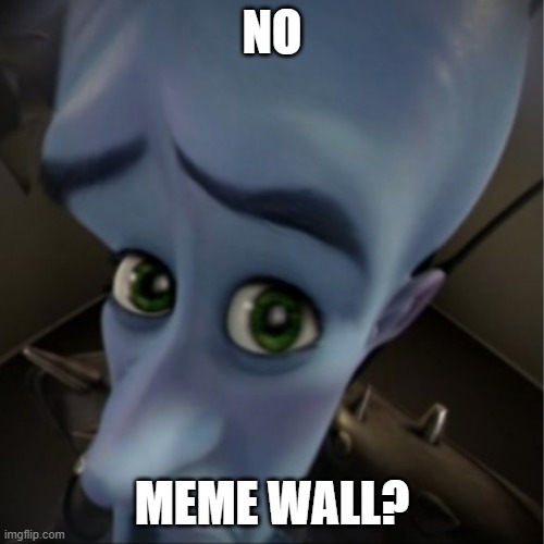The Meme Wall as a Voice of Change
